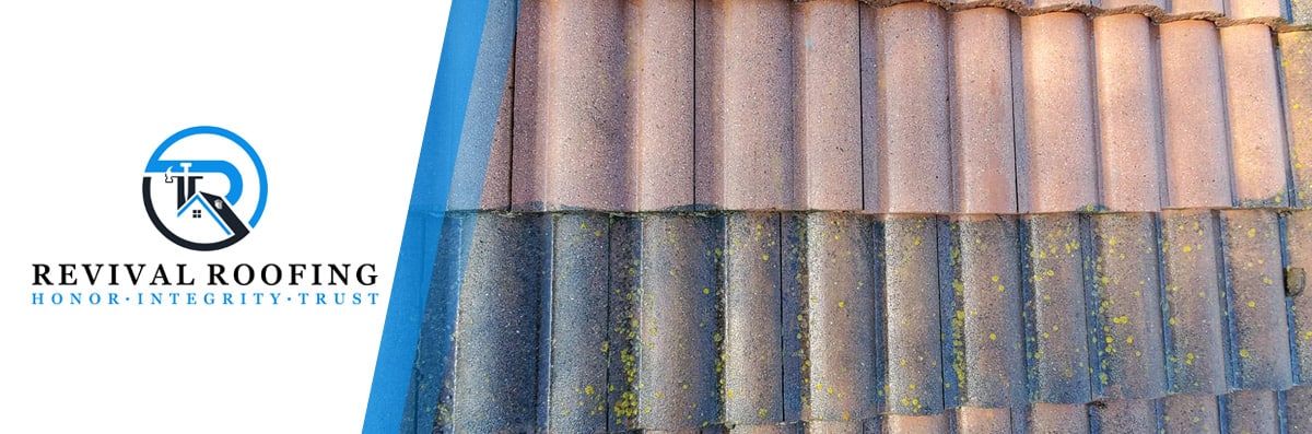 Tile Roof Restoration